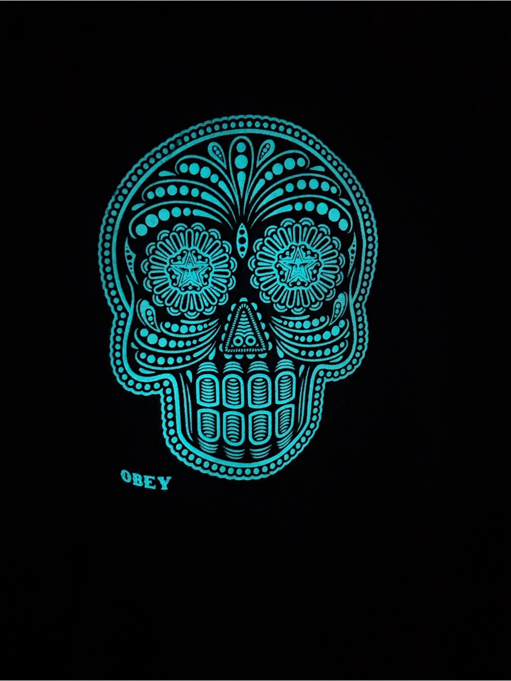 Obey Gray Glow in the Dark Sugar Skull Hoodie with Day of the Dead Graphic M